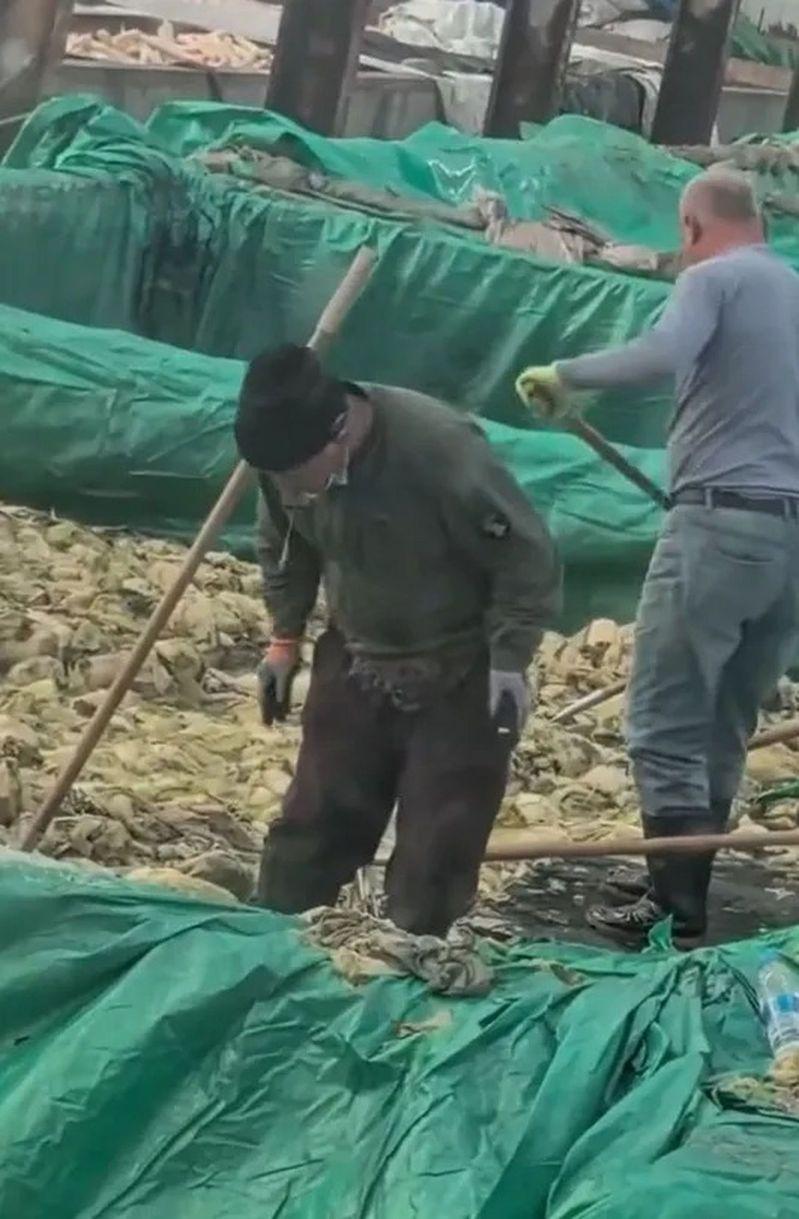 影片中工作男子(左)全程抽着烟。(视频截屏)