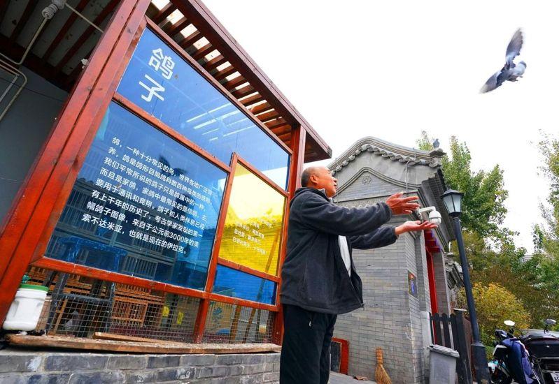 烂缦胡同。(取材自湖南日报)