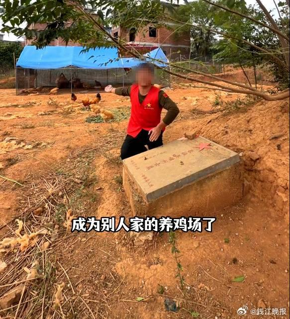 湖南永州一烈士墓地近日变成养鸡场。(取材自极光新闻)