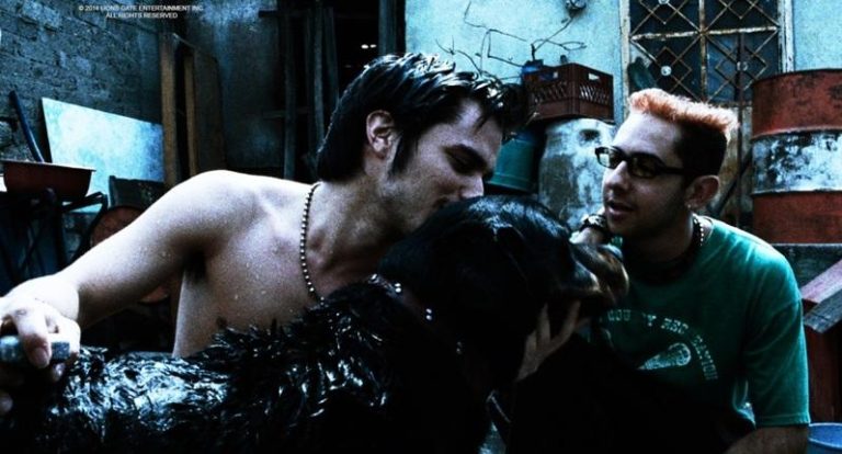 「爱是一条狗」（Amores perros, 2000）将于金马放映。图／金马执委会提供