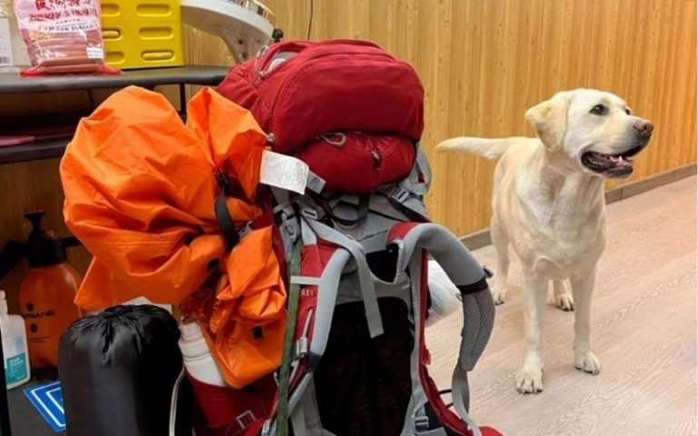 王营营展示她的登山包。 （取材自新京报）
