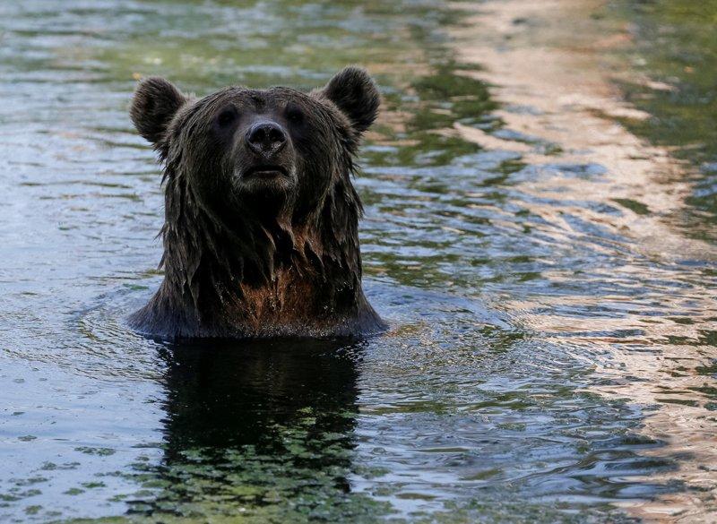 示意图。(路透档案照)