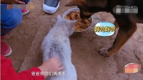 沙溢父子愈吃愈怀疑正吃的面曾被狗吃过,不禁对看了一眼后相视而笑。(视频截屏)