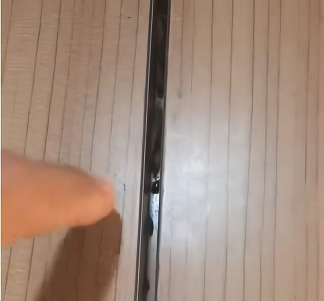 乘客实拍高铁车厢缝隙爬满蟑螂，列车员回应已联系防疫站消杀。(取材自大风新闻)