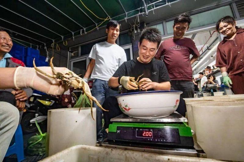 成熟大闸蟹与未成熟大闸蟹的对比,青壳为成熟大闸蟹。(取材自中国商报)