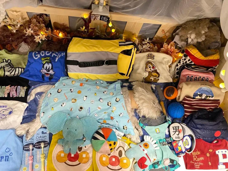 Penny和Papi的合照。（取材自新京报／受访者供图）