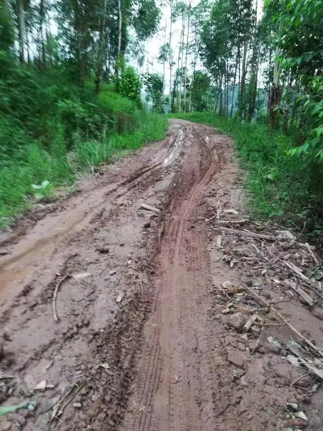 下雨天道路泥泞。（取材自大风新闻）