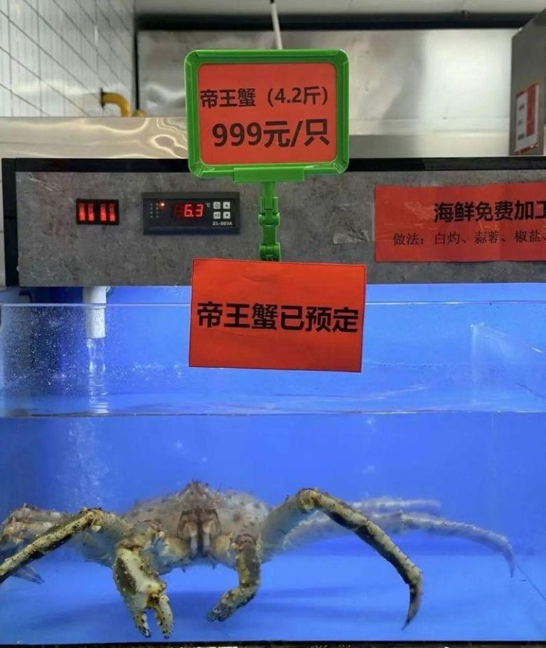 南京大学食堂推出「999元帝王蟹」。(取材自微博)