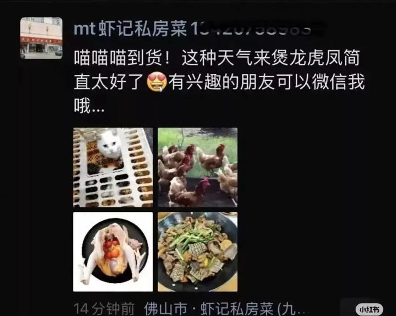 私房菜商家朋友圈发布的活猫照片。（取材自微信）
