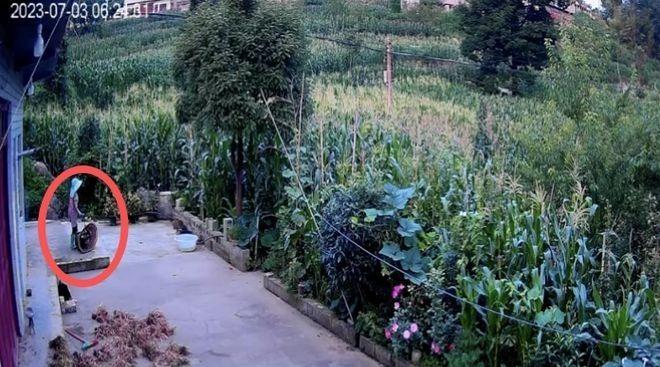 2023年，王珍失联后，乡亲参与寻找，熊某（红圈处）也在其中。（取材自潇湘晨报）