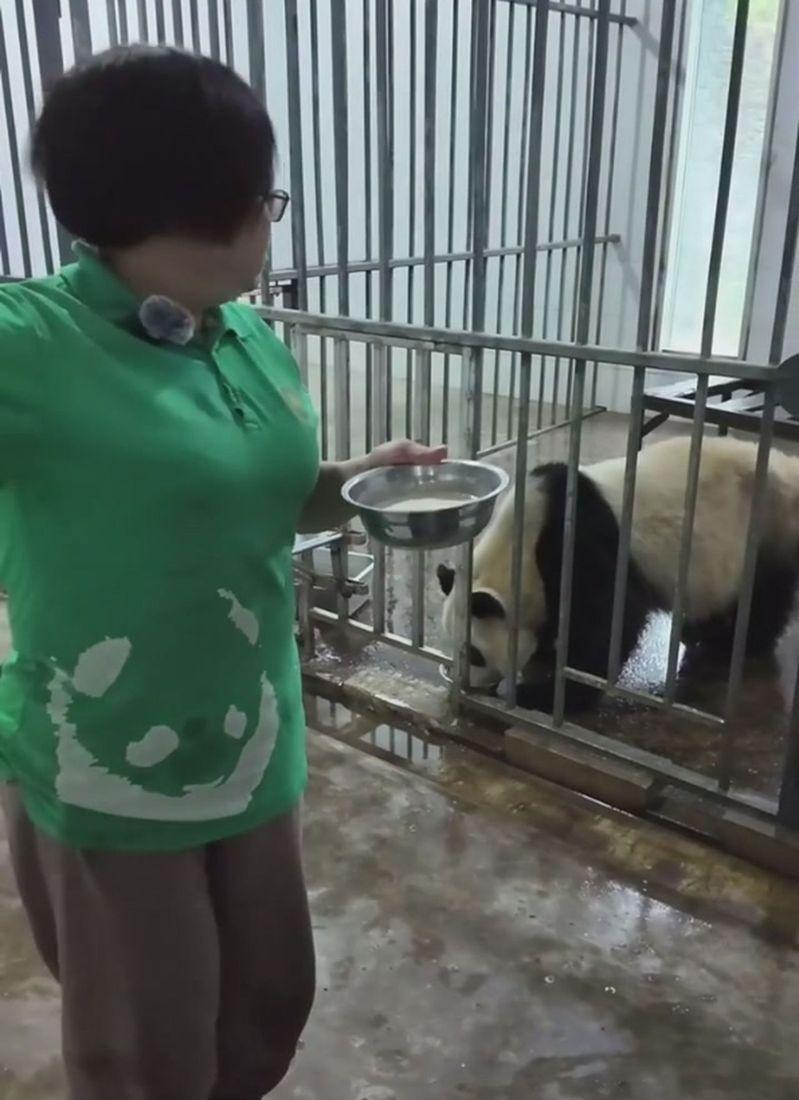 新疆阿勒泰喀纳斯湖。(新华社数据照片)