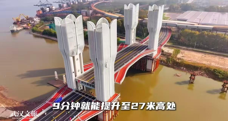 大桥的鸟瞰图。(视频截屏)