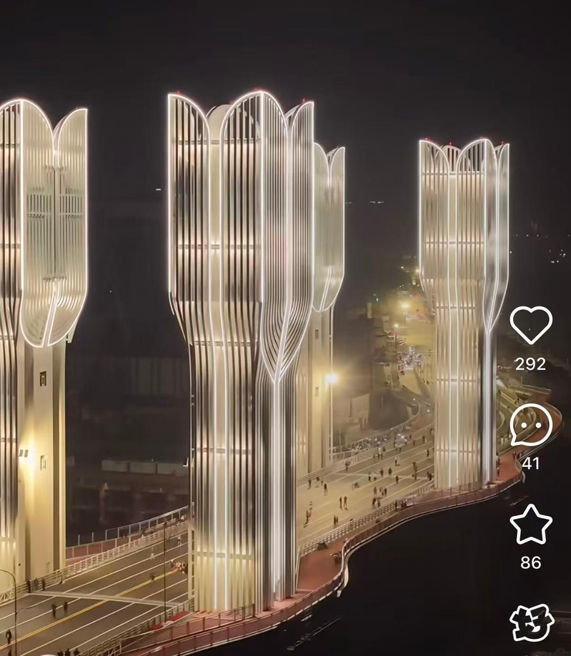 大桥的鸟瞰图。(视频截屏)