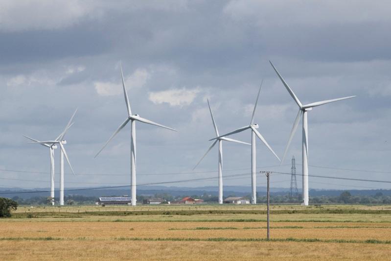 随着欧洲各国的风机逐渐迈向使用年限，叶片回收问题正构成新的环保挑战。  （路透）