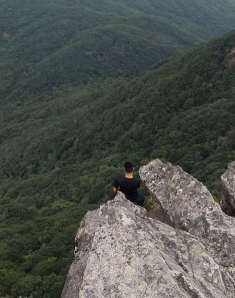 在另一位网友拍摄的视频中，疑似还有多位游客翻出护栏外进行拍照打卡。（都市现场）