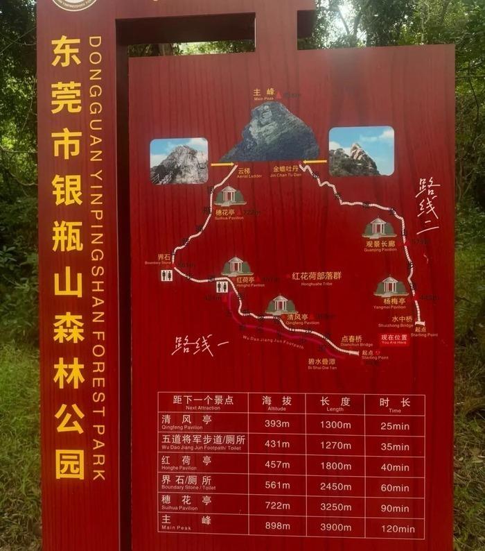 在另一位网友拍摄的视频中，疑似还有多位游客翻出护栏外进行拍照打卡。（都市现场）