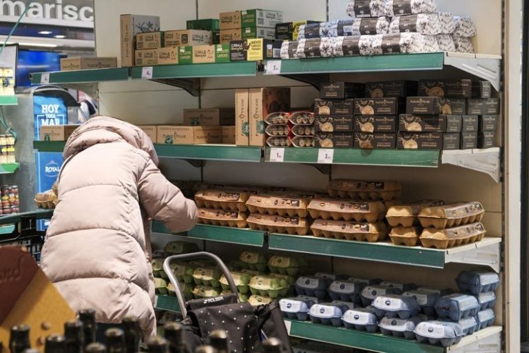 西班牙禽流感危机恶化，今年以来已扑杀约250万只蛋鸡，导致鸡蛋价格和去年相比平均上涨31%。图为民众在首都马德里超市内选购鸡蛋。中央社