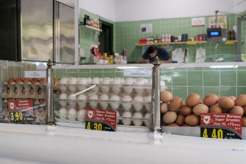 西班牙禽流感危机恶化，今年以来已扑杀约250万只蛋鸡，导致鸡蛋价格和去年相比平均上涨31%。图为民众在首都马德里超市内选购鸡蛋。中央社