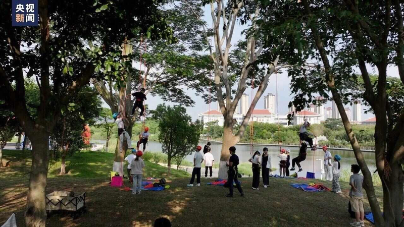 厦门大学的攀树课。(取材自羊城晚报)