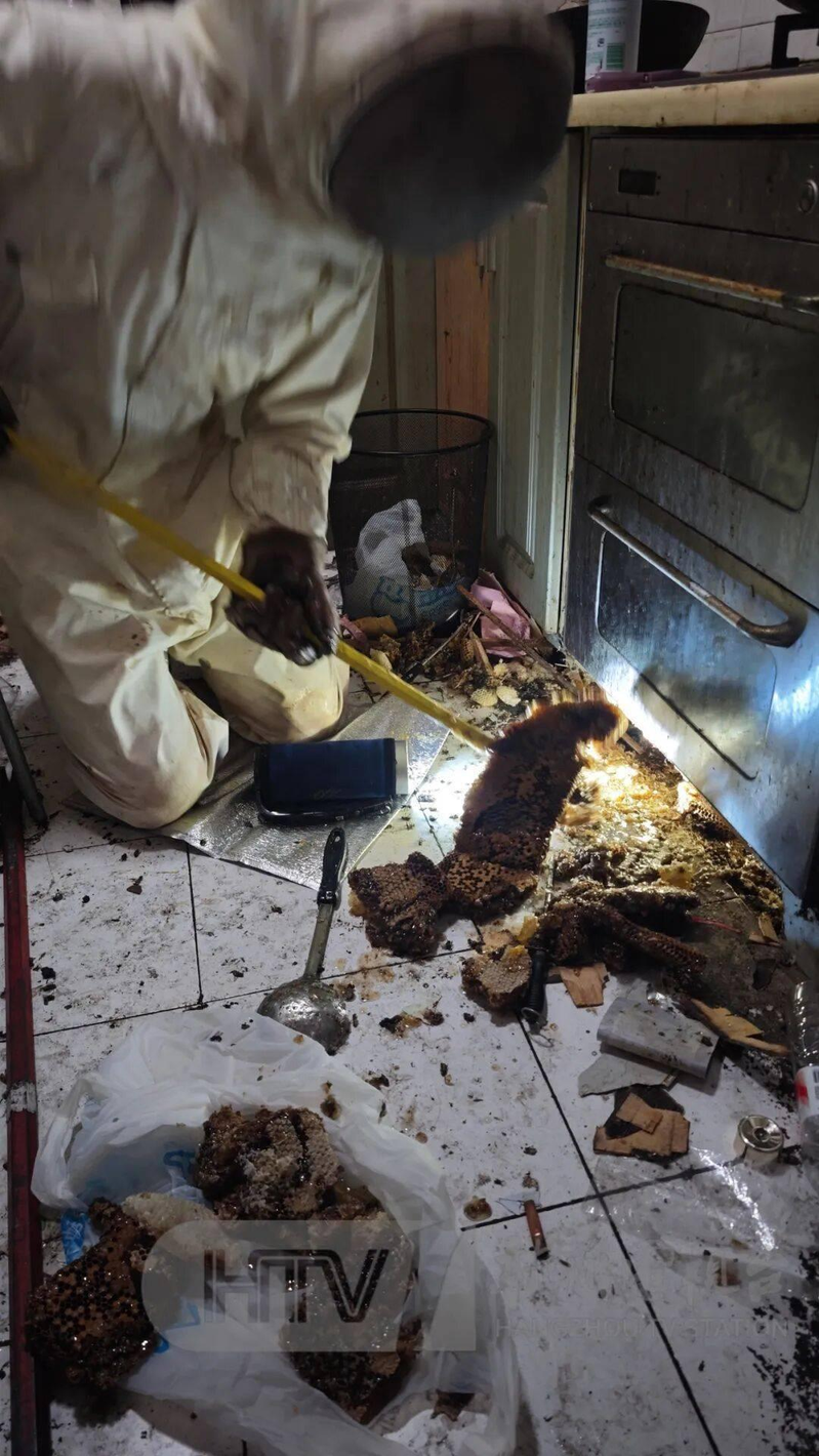 「蜜蜂多到连门都进不去」,浙江一居民家挖出「巨型蜂巢」,消防人员2小时掏了20斤...