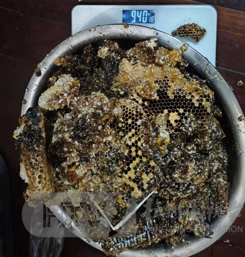 「蜜蜂多到连门都进不去」,浙江一居民家挖出「巨型蜂巢」,消防人员2小时掏了20斤...