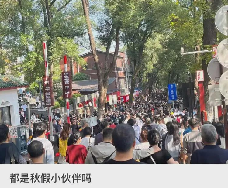 秋假亲子出游潮,广东小学生「占领」长沙,岳麓山有「一亿人」。(取材自长沙晚报)