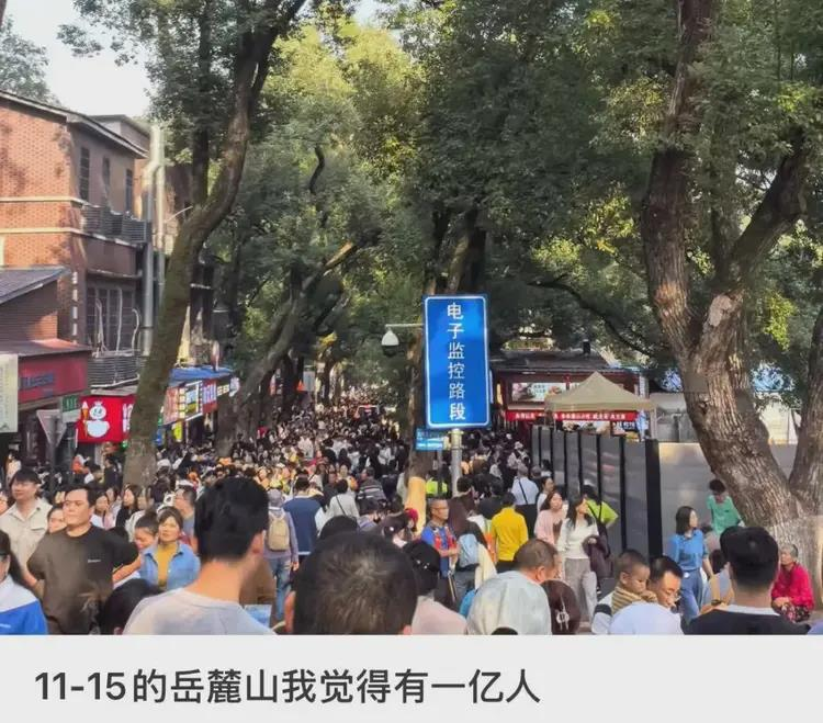 秋假亲子出游潮,广东小学生「占领」长沙,岳麓山有「一亿人」。(取材自长沙晚报)