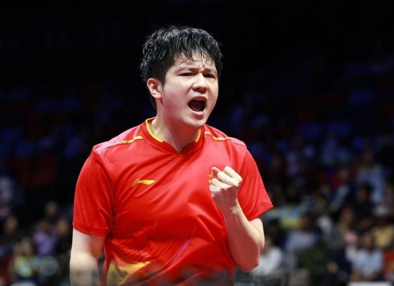 樊振东在第十五届全国运动会乒乓球男子单打金牌赛中夺得冠军。（新华社）