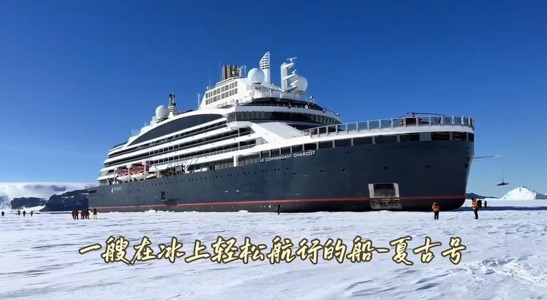 新东方董事长俞敏洪连发10条南极游视频。(视频截屏)