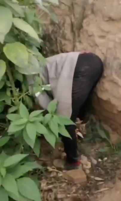 王女母亲拍到亲姑姑姬女在偷玉米。（视频截屏）