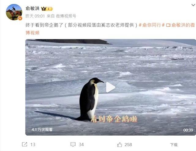 俞敏洪连发多条在南极的旅游影片。（视频截屏）