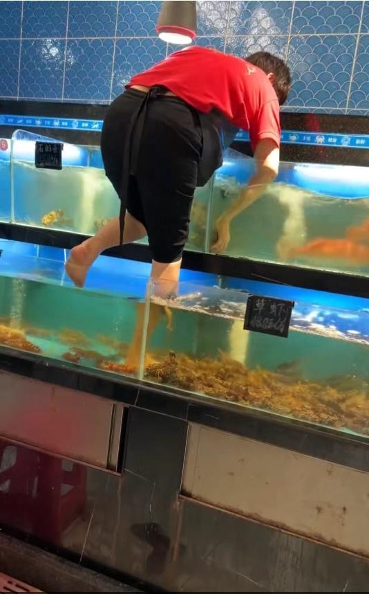 女员工光脚踩水族箱擦玻璃,引发顾客对卫生和员工安全的疑虑。(取材自华商报大风新闻)