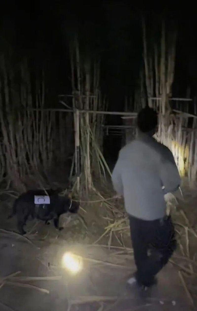 入夜后童鹏飞甘蔗地里人头攒动。(取材自小二爱航拍)