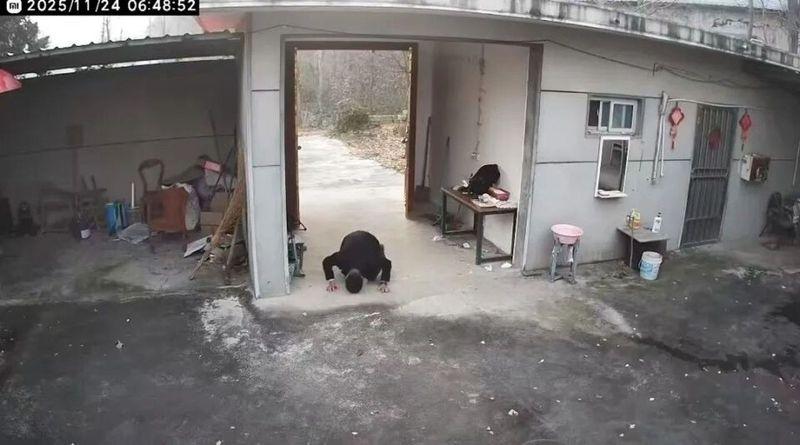 范先生跪别老家并三叩首。(取材自九派新闻/受访者提供)