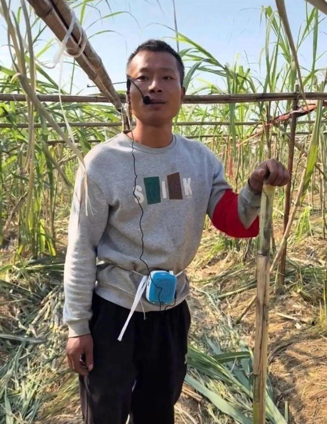 入夜后童鹏飞甘蔗地里人头攒动。(取材自小二爱航拍)