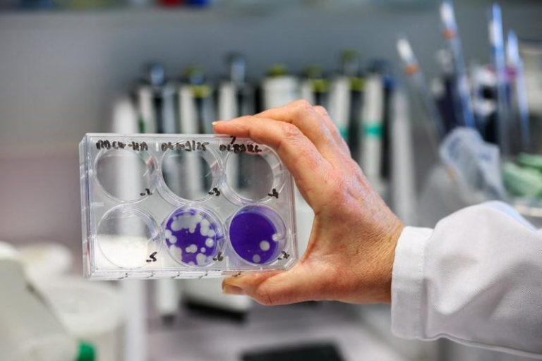 法专家指禽流感病毒若突变 大流行风险恐比COVID严重 法国巴斯德研究所呼吸道感染中心主任表示,近年在野鸟、家禽及多种哺乳类动物间扩散的高病原性禽流感病毒,若发生突变并具备人传人能力,恐引发比COVID-19更严重的大流行。图为研究人员手持装有流感病毒检测样本的多孔板。路透