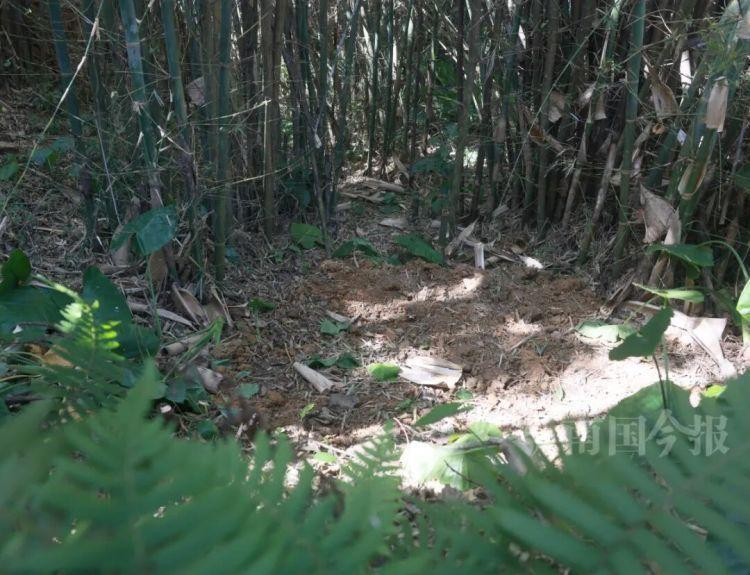 铜鼓全貌。(取材自南国今报)