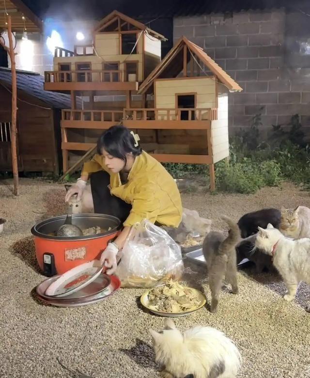 宣宣在婚宴上打包剩菜喂流浪猫。(视频截屏)