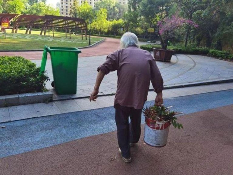 罗应玖在运送清扫动物园的垃圾。（取材自微信）