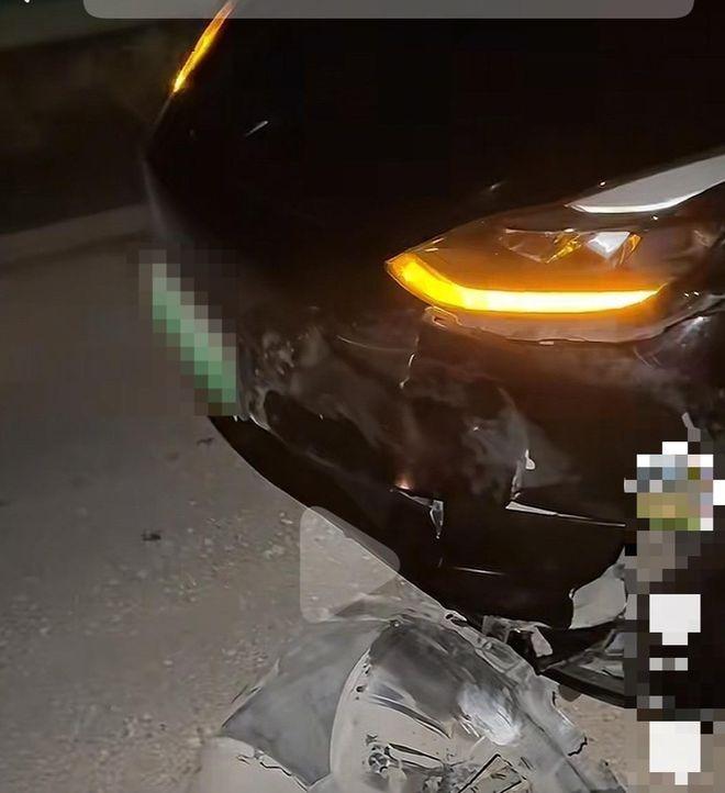 杨先生的车辆撞野猪后受损。（取材自红星新闻）