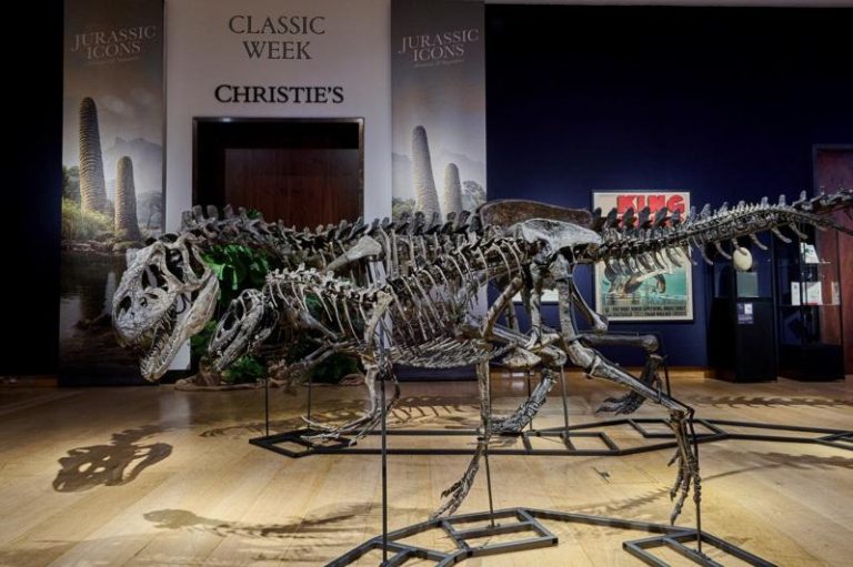 英国当局从苏炳海手中查扣价值数百万英镑的稀有恐龙化石。(路透)