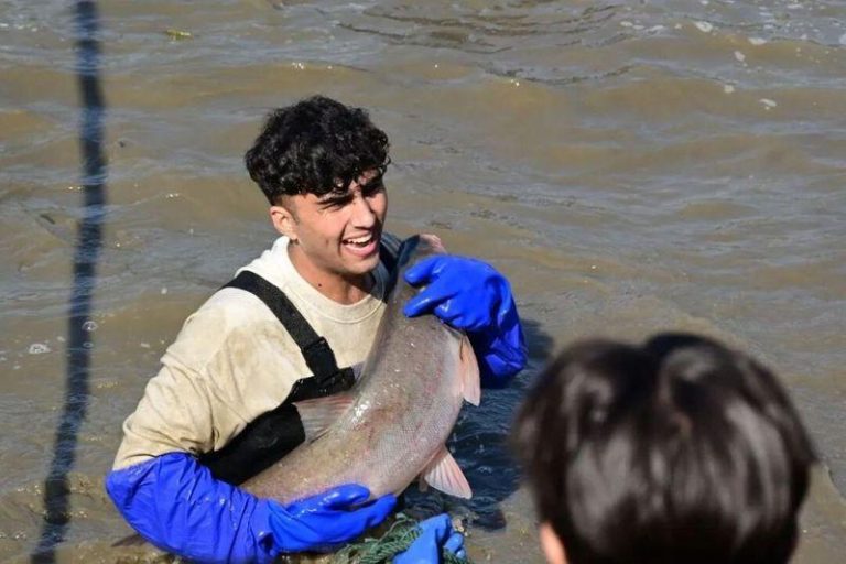 武汉科大127年校庆 师生下湖捞1.5万斤鱼 鱼王重9.2公斤 姚昌荣捕获一条8.7公斤的大鱼,夺得「捕鱼王」。(取材自光明日报)