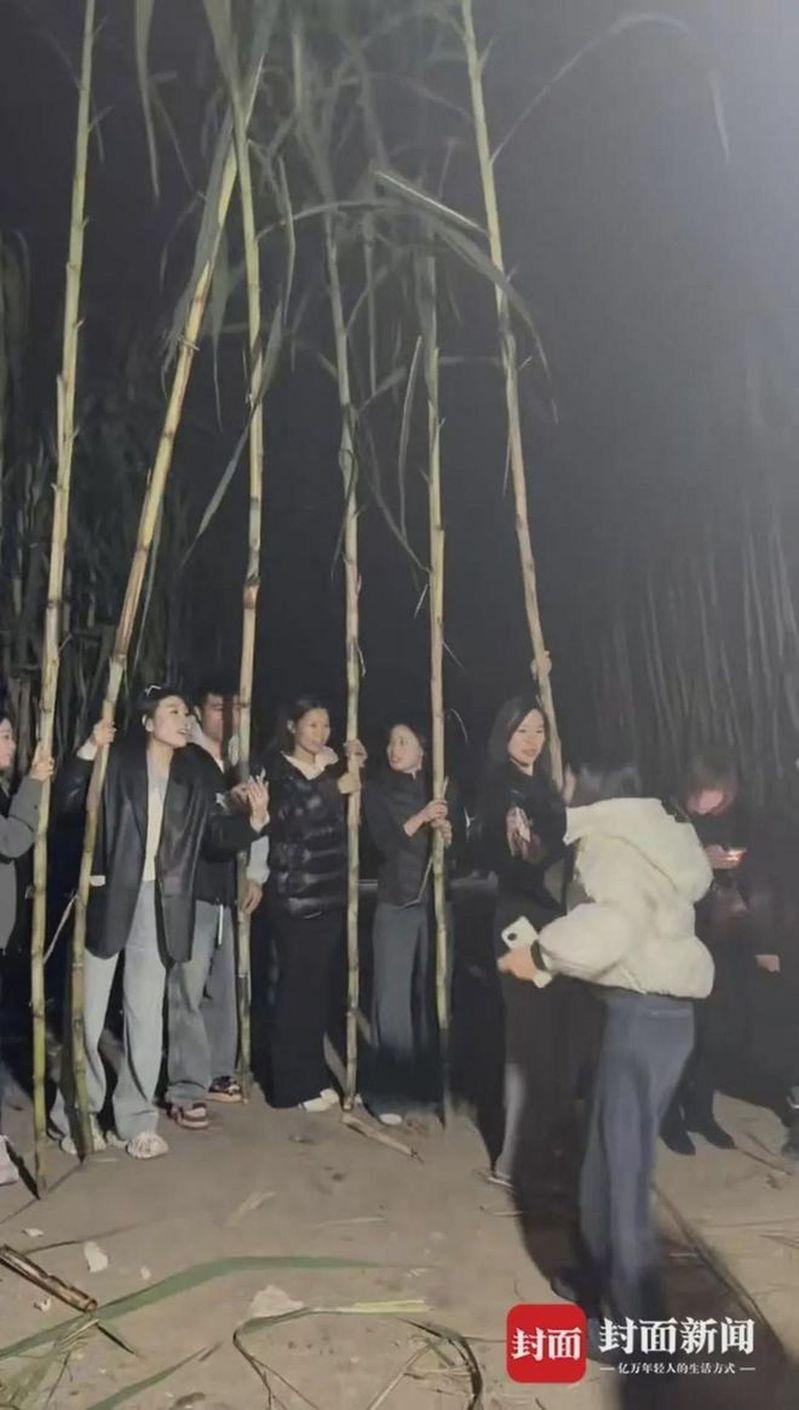 入夜后童鹏飞甘蔗地里人头攒动。(取材自小二爱航拍)