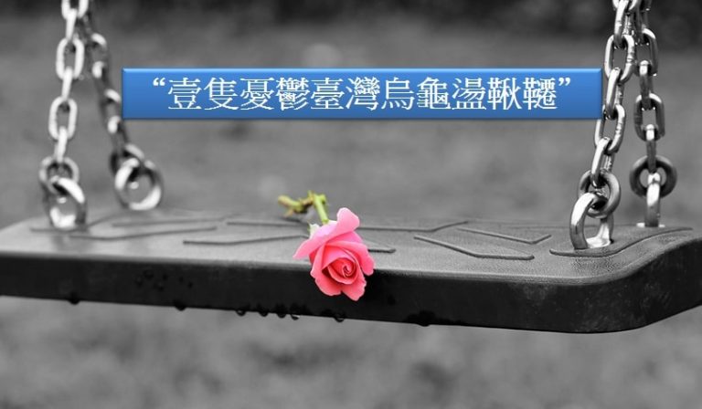 从“乌龟荡秋千”看极端论调之谬