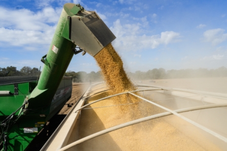 川习会后 中方开始购买美国农产品