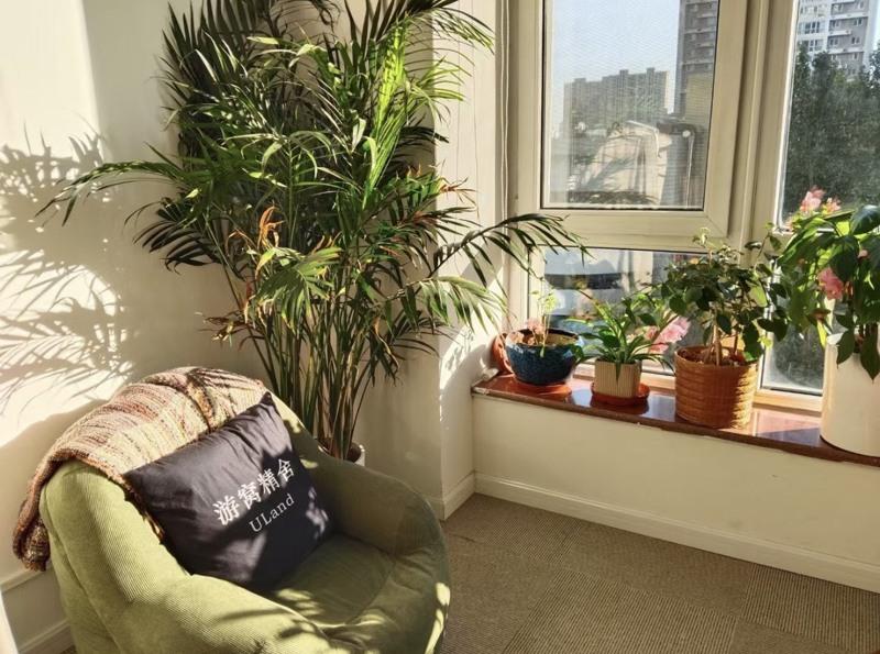 「游窝」的公共空间。(取材自小红书)