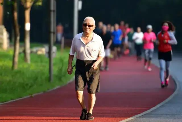 对中老年人来说,适量的脂肪储备其实是「保命缓冲垫」。(取材自人民日报)