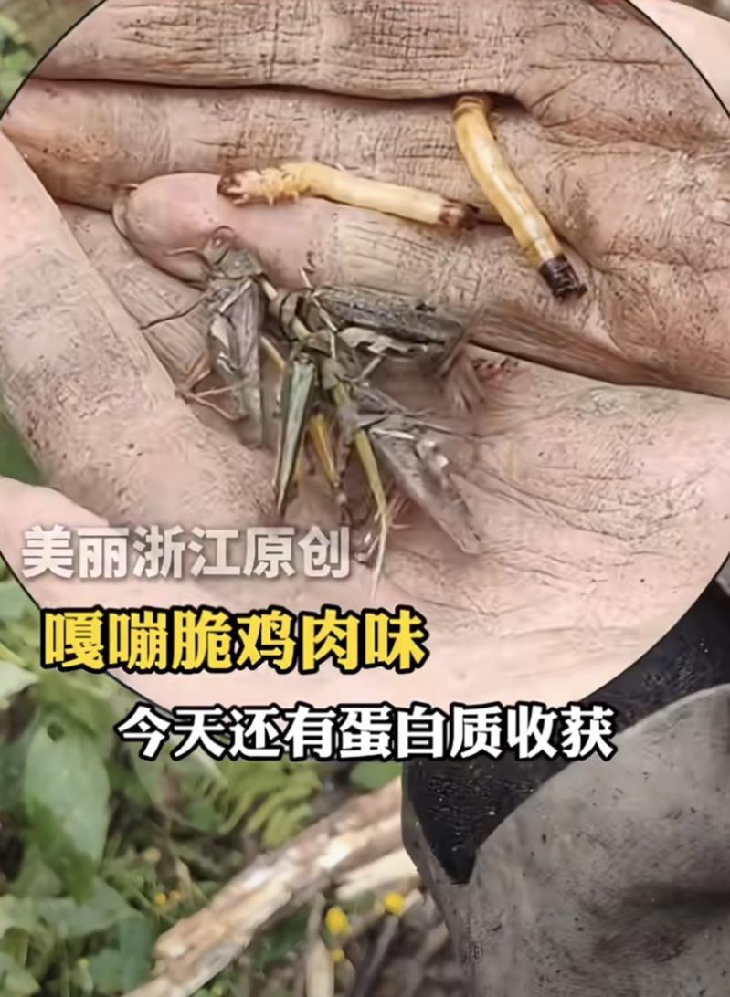 2025年10月8日,七星山杯国际「荒野求生挑战赛」第二季开赛。(取材自中国新闻周刊/视觉中国图)