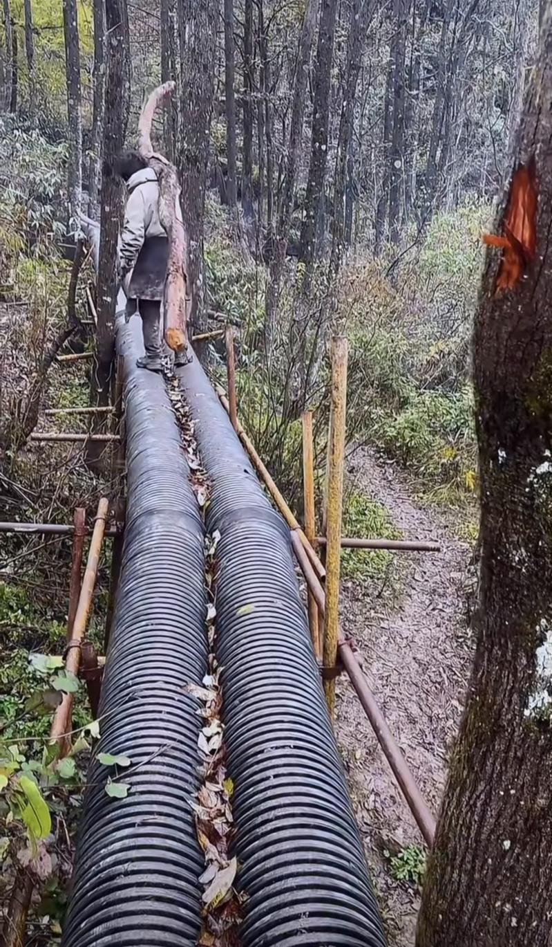 2025年10月8日,七星山杯国际「荒野求生挑战赛」第二季开赛。(取材自中国新闻周刊/视觉中国图)