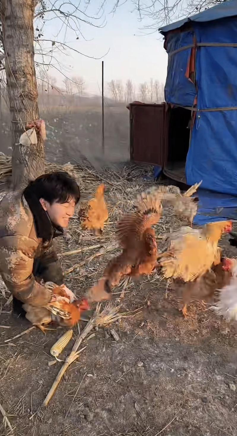 陈三金直播葡萄园丰收。(视频截屏)